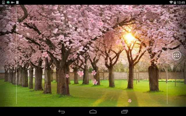 Sakura android App screenshot 1