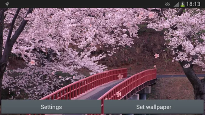 Sakura android App screenshot 2