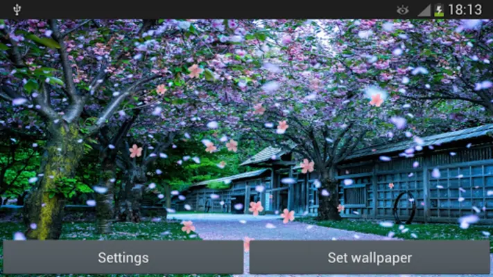 Sakura android App screenshot 3