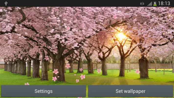 Sakura android App screenshot 4